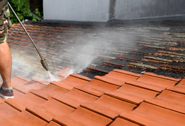 Best Residential Pressure Washing Services  in Shady Shores, TX